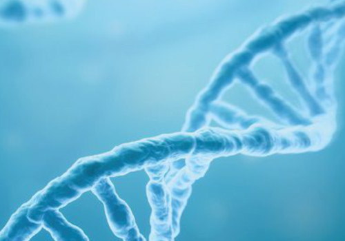 Life Sciences